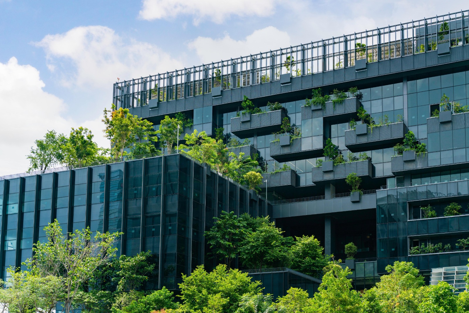 Green audit and environmental assessment for facilities